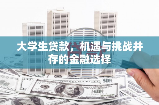山阳大学生贷款，机遇与挑战并存的金融选择