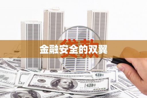 山阳金融安全的双翼