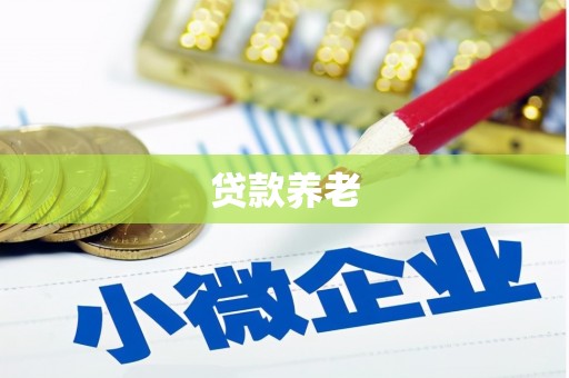山阳贷款养老