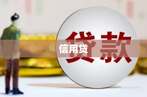 山阳信用贷