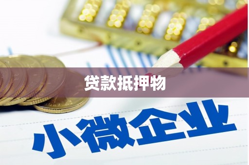 山阳贷款抵押物