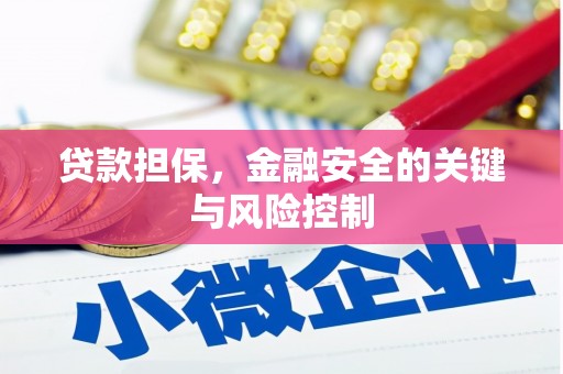 山阳贷款担保，金融安全的关键与风险控制