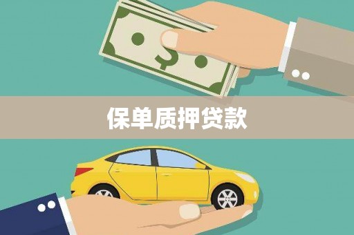 山阳保单质押贷款