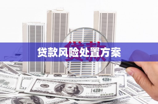 山阳贷款风险处置方案