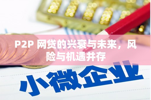 山阳P2P 网贷的兴衰与未来，风险与机遇并存