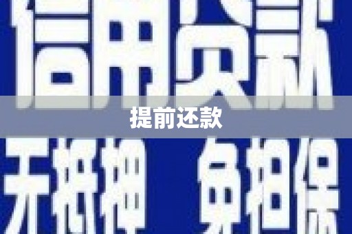 山阳提前还款