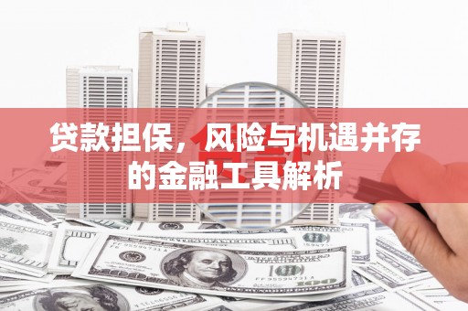 山阳贷款担保，风险与机遇并存的金融工具解析
