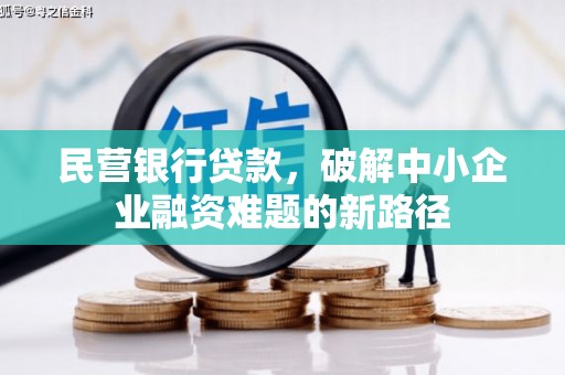 山阳民营银行贷款，破解中小企业融资难题的新路径