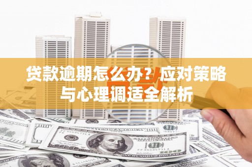 山阳贷款逾期怎么办？应对策略与心理调适全解析