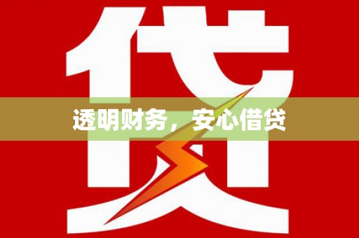 山阳透明财务，安心借贷