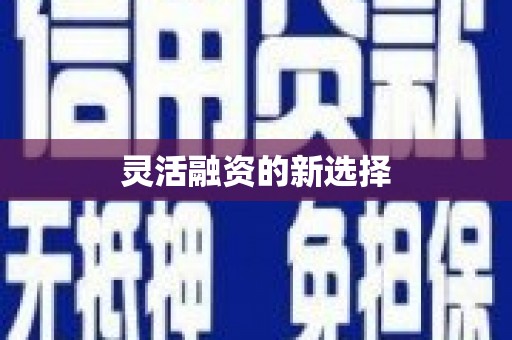 山阳灵活融资的新选择