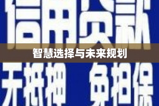 山阳智慧选择与未来规划