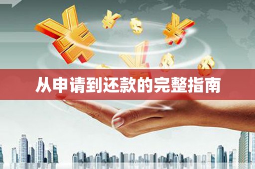 山阳从申请到还款的完整指南