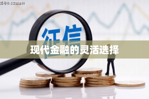 山阳现代金融的灵活选择