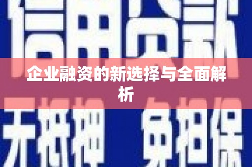 山阳企业融资的新选择与全面解析