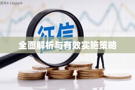 山阳全面解析与有效实施策略