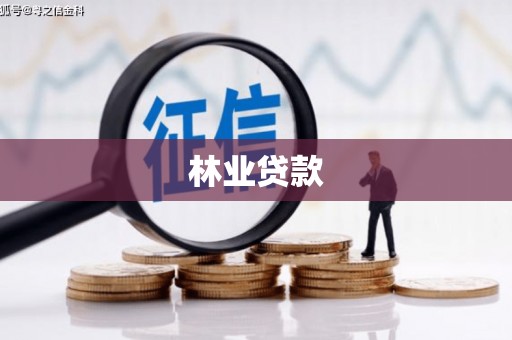 山阳林业贷款
