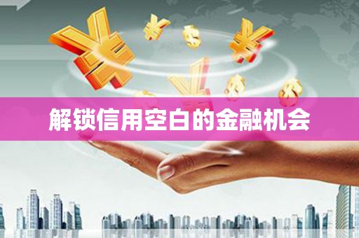 山阳解锁信用空白的金融机会