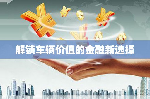 山阳解锁车辆价值的金融新选择