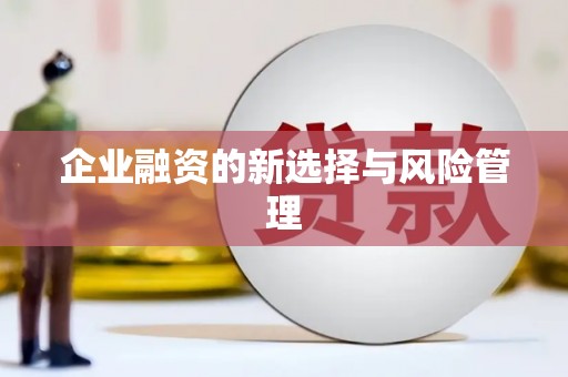 山阳企业融资的新选择与风险管理