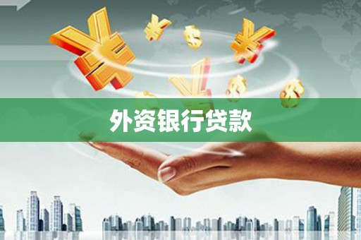 山阳外资银行贷款