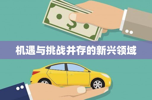 山阳机遇与挑战并存的新兴领域