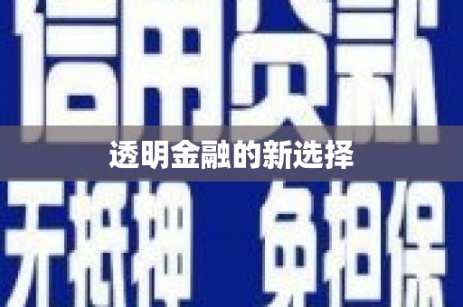 山阳透明金融的新选择