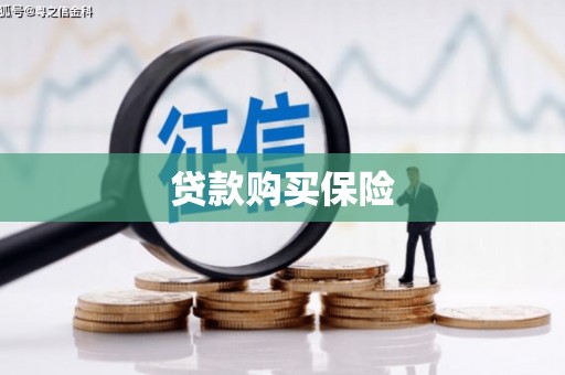 山阳贷款购买保险