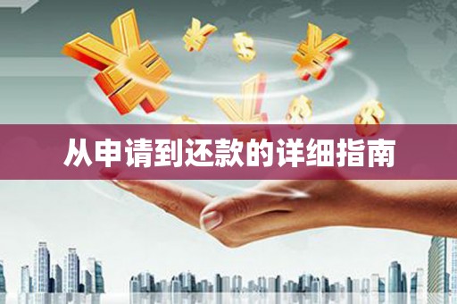 山阳从申请到还款的详细指南