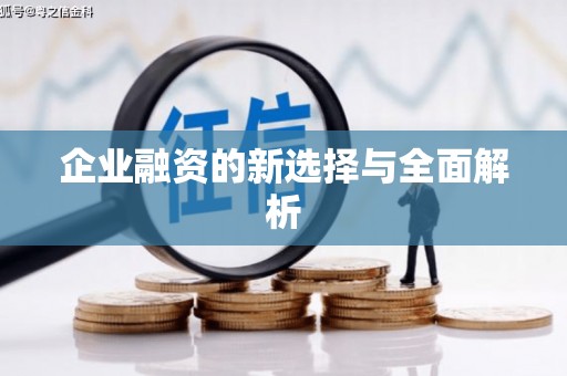 山阳企业融资的新选择与全面解析