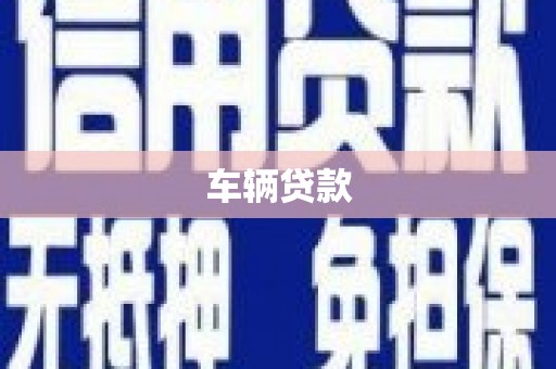 山阳车辆贷款