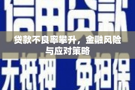 山阳贷款不良率攀升，金融风险与应对策略