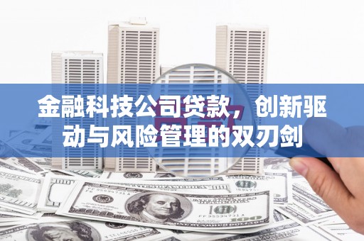 山阳金融科技公司贷款，创新驱动与风险管理的双刃剑
